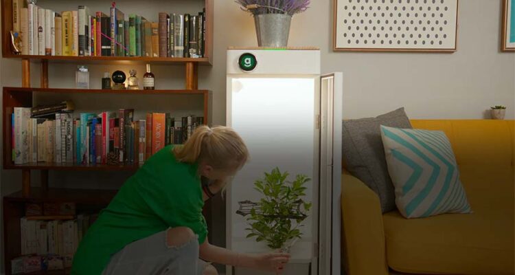 Hello Abby, introducing Automated Grow Box Kits: Your Ultimate Indoor Hydroponics Growing System.