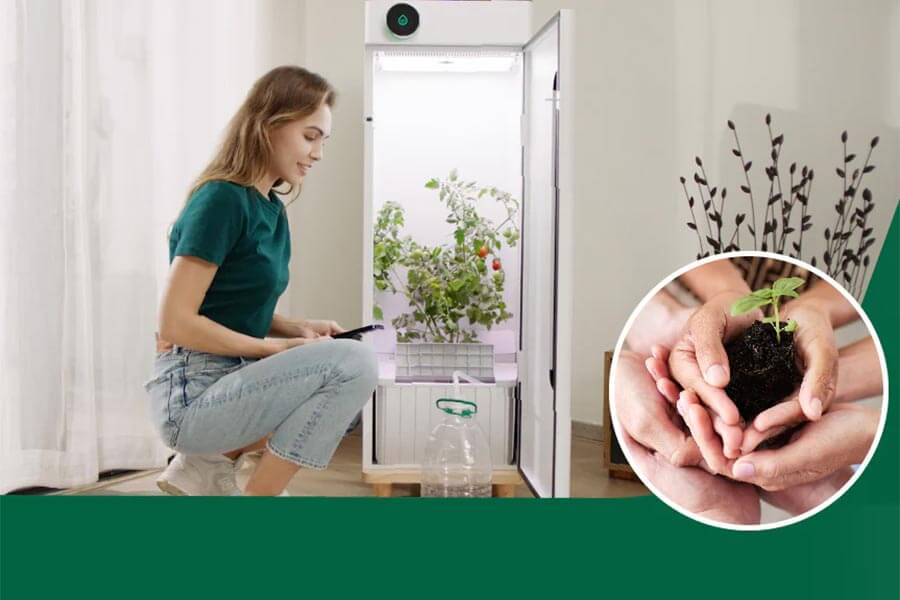 Maximizing Plant Growth with Hey Abby Grow Box. Choosing the Right Hey Abby Grow Box for Your Garden.